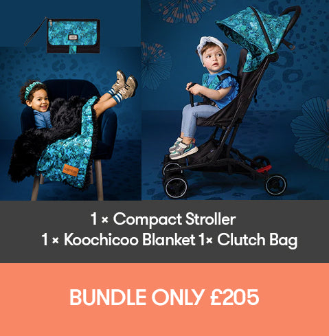 Chicos stroller cheap